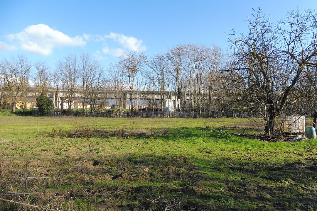 Aste   Terreni Agricoli  - Terreno a Terranuova Bracciolini in località Ponte Mocarini - Lotto 8