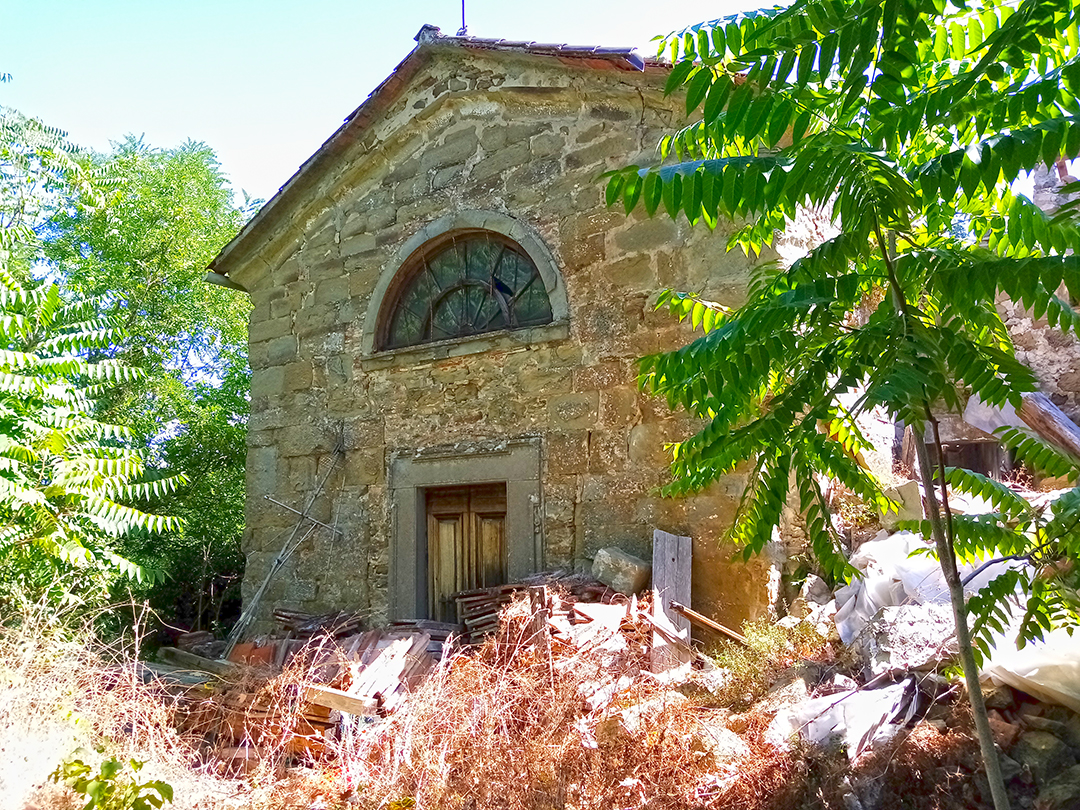 image Alt