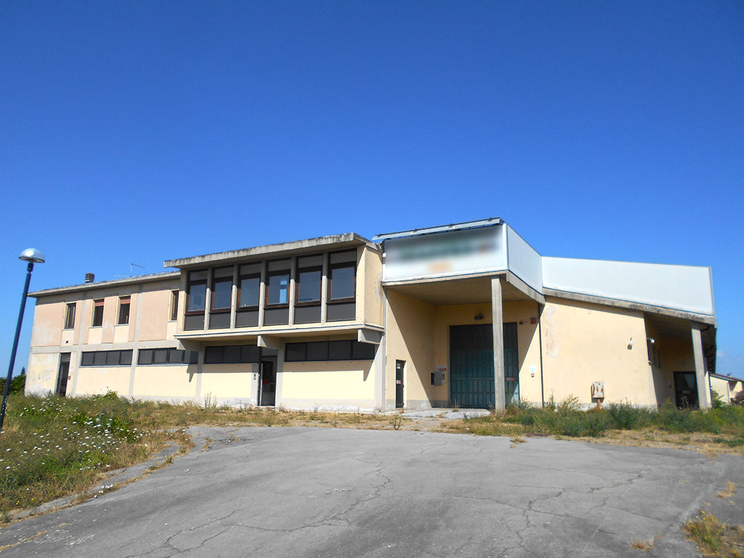 image Alt