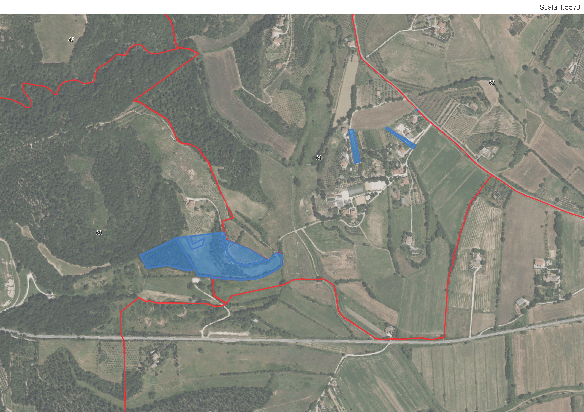 Aste   Terreni Agricoli  - Quota su 1/5 su Terreni a Sinalunga, loc. Vallina - Lotto 1